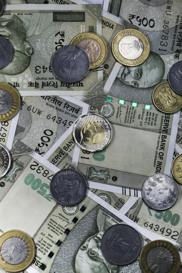 Pexels Photo 14907338